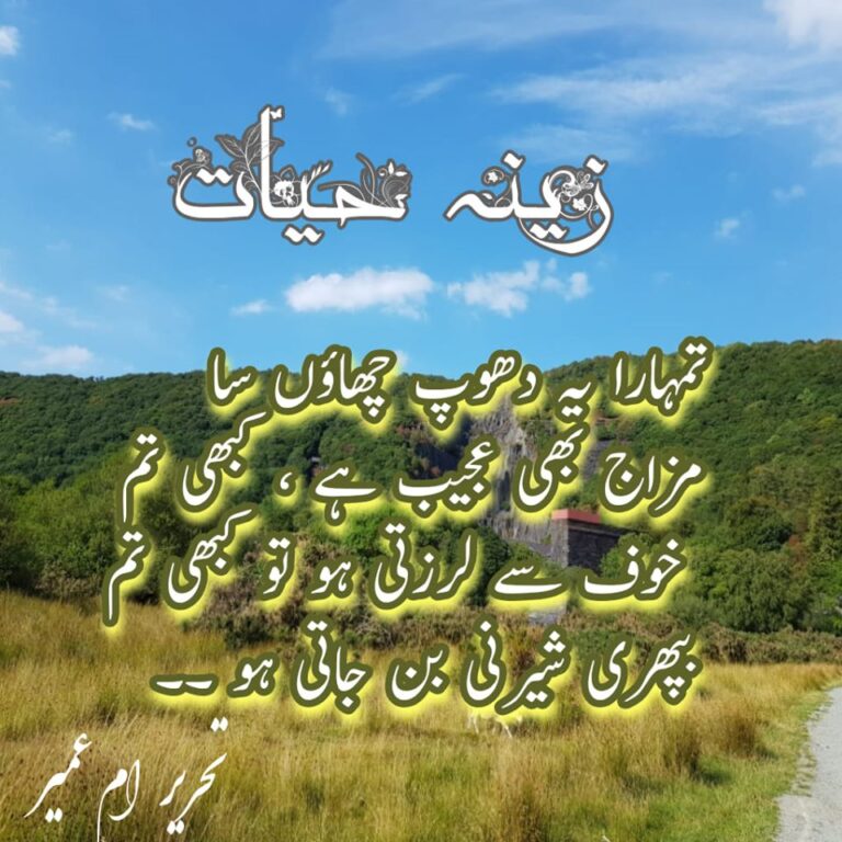 Zeenia Hayat by Umm Umair Novel