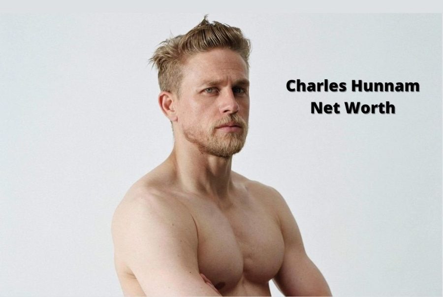 Charlie Hunnam Net Worth