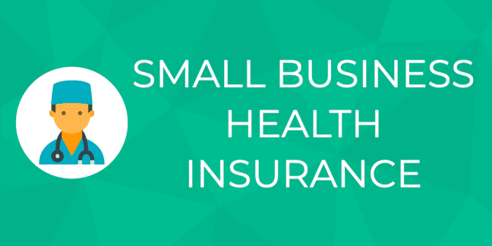 Health Insurance Plans for Small Businesses :A Comprehensive Guide